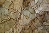 DSC07740.JPG