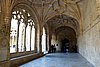 DSC07751.JPG