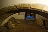 DSC07795.JPG