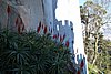 DSC07880.JPG