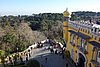 DSC07887.JPG
