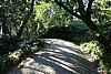 DSC07911.JPG