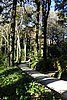 DSC07912.JPG