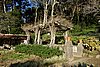 DSC07915.JPG