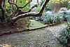 DSC07917.JPG