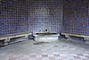 DSC07921.JPG