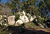 DSC07926.JPG