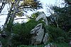 DSC07927.JPG