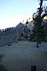DSC07929.JPG