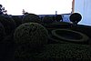 DSC07969.JPG