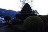 DSC07970.JPG