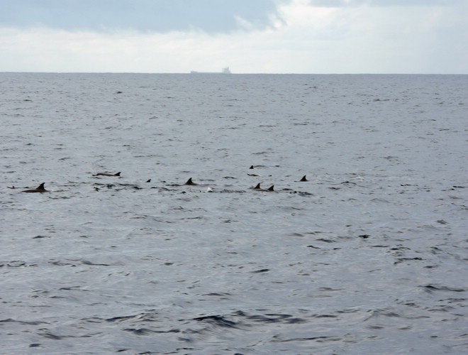 DSCN2069.JPG