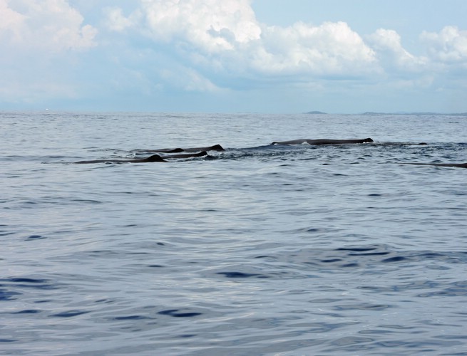 DSCN2112.JPG