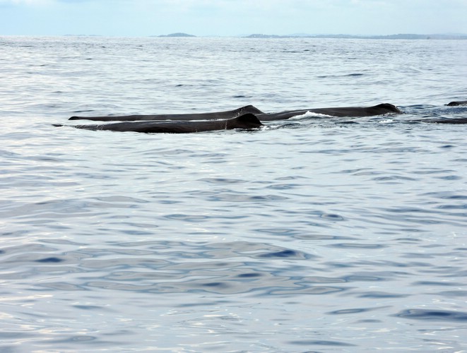 DSCN2118.JPG