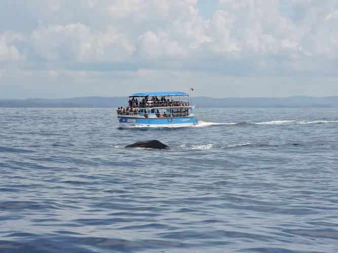 DSCN2130.JPG