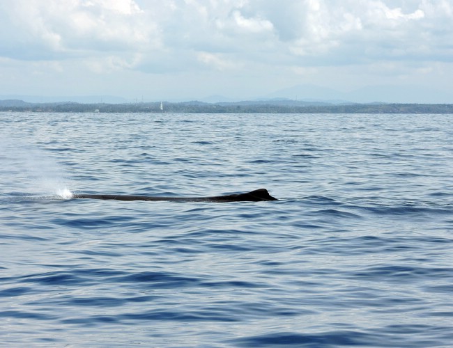 DSCN2155.JPG