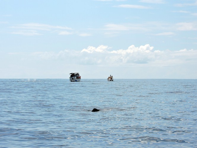 DSCN2163.JPG