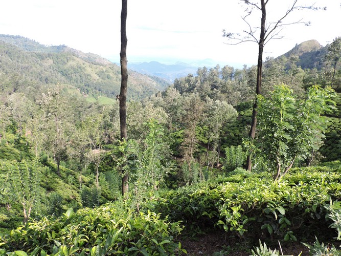 DSCN2191.JPG