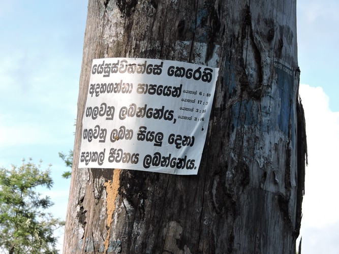 DSCN2199.JPG