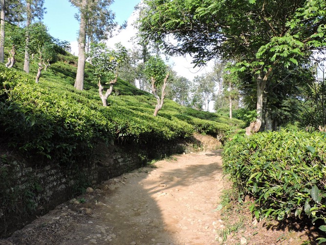 DSCN2207.JPG