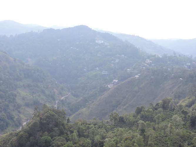 DSCN2216.JPG