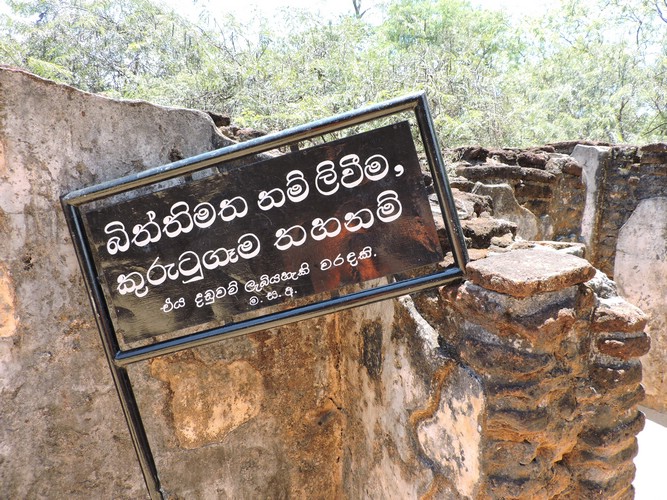 DSCN2351.JPG