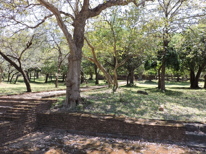 DSCN2404.JPG