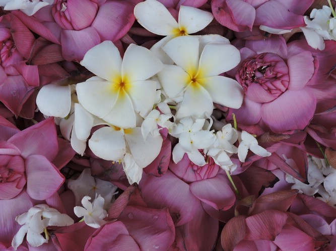 DSCN2449.JPG