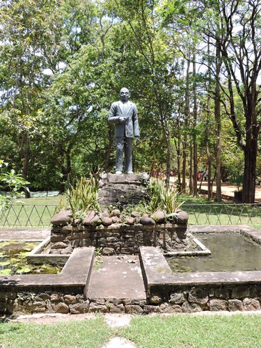 DSCN2462.JPG