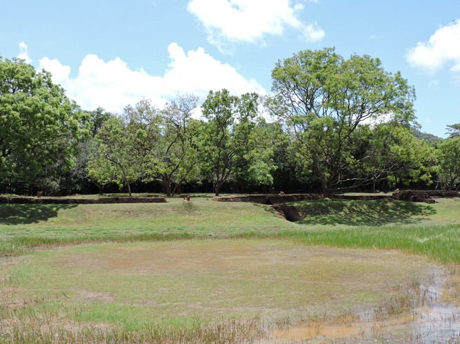 DSCN2471.JPG