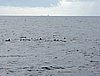 DSCN2069.JPG