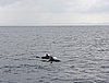 DSCN2076.JPG