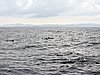 DSCN2077.JPG