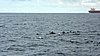 DSCN2084.JPG
