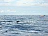 DSCN2106.JPG