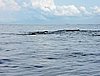 DSCN2112.JPG
