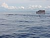 DSCN2115.JPG