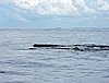 DSCN2119.JPG