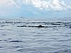 DSCN2128.JPG