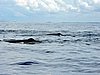 DSCN2129.JPG