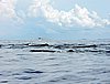 DSCN2132.JPG