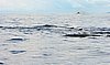 DSCN2136.JPG