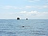 DSCN2163.JPG