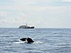 DSCN2167.JPG