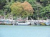 DSCN2175.JPG
