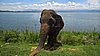 DSCN2186_WP_20160418_12_16_21_Pro.jpg