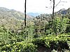 DSCN2191.JPG