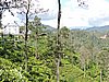 DSCN2193.JPG
