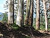 DSCN2201.JPG