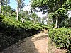 DSCN2207.JPG